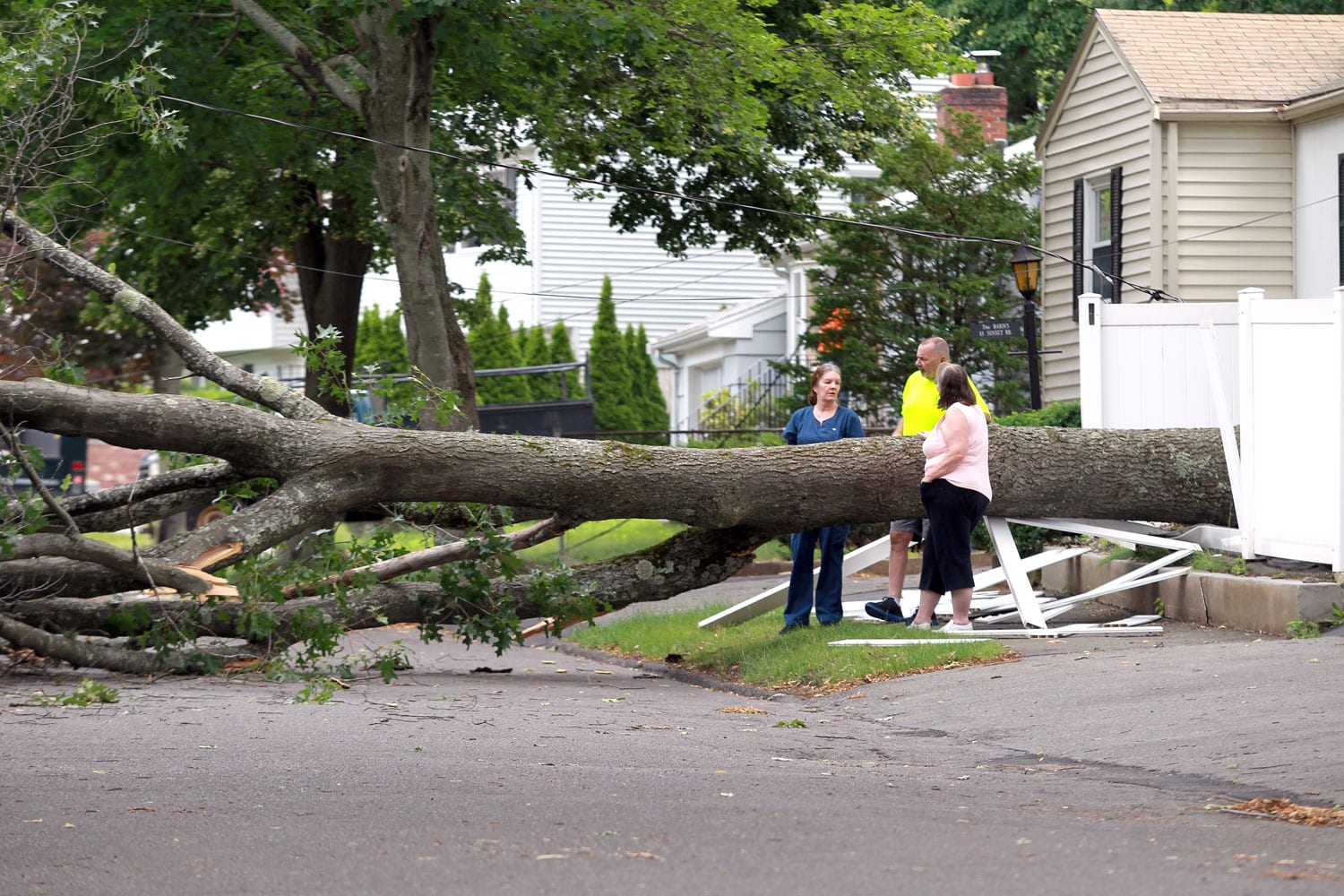 Power Restored After Tree Collapsed Itemlive