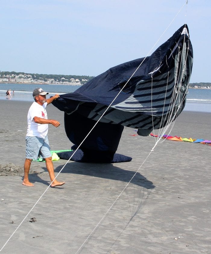 PHOTOS Let's go fly a kite! Itemlive Itemlive