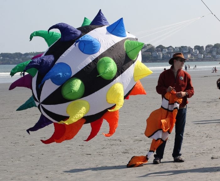 PHOTOS Let's go fly a kite! Itemlive Itemlive