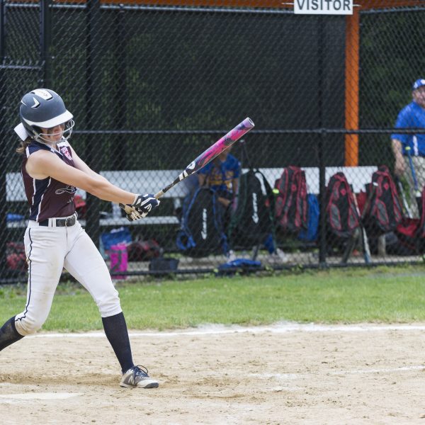 Wilkins, Lynn softball head back to regionals - Itemlive : Itemlive