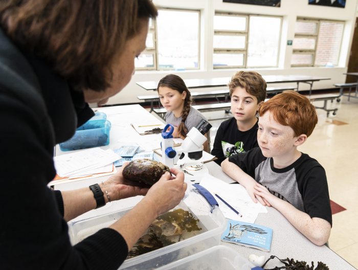 Johnson Elementary School had its inaugural rock fair Tuesday morning ...