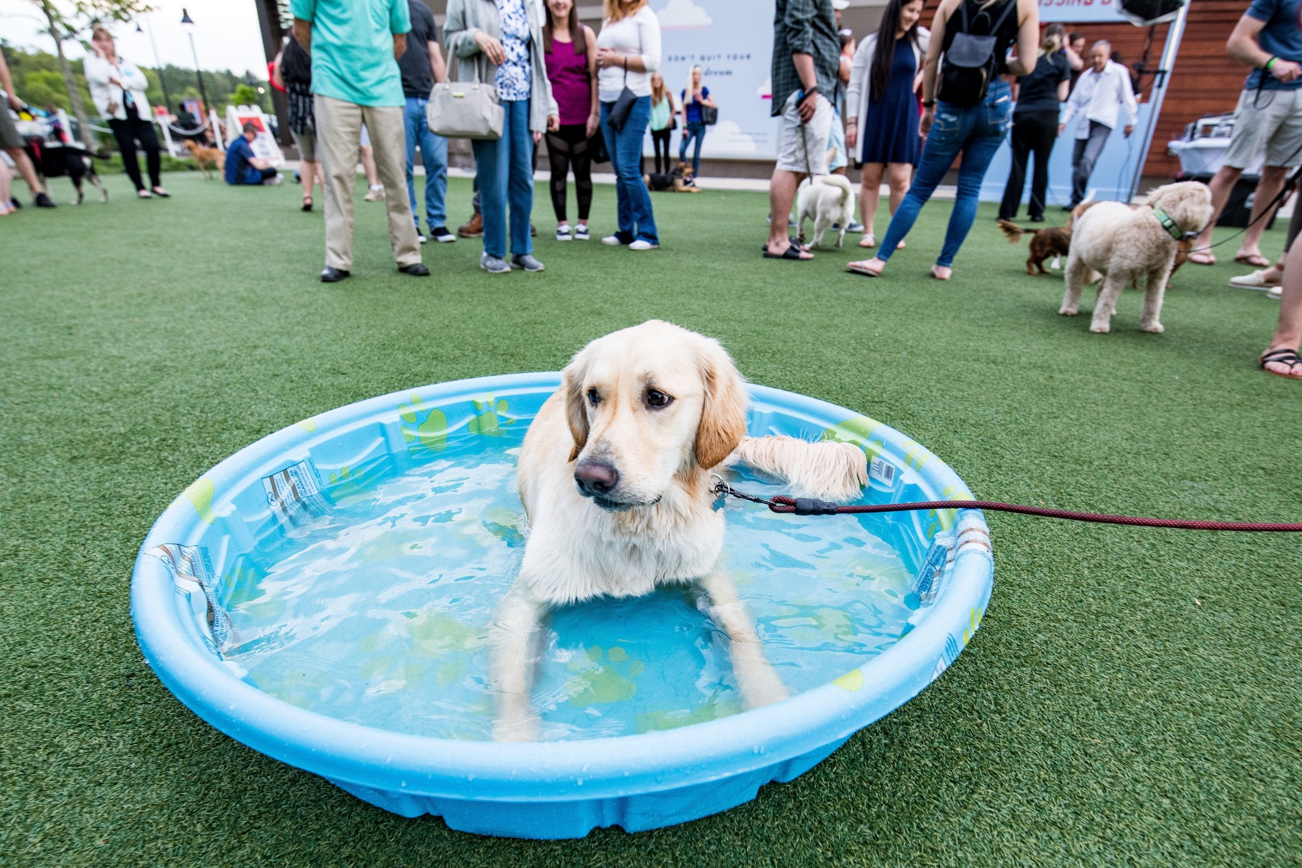 MarketStreet Lynnfield will host its first Yappy Hour of the season May 22.