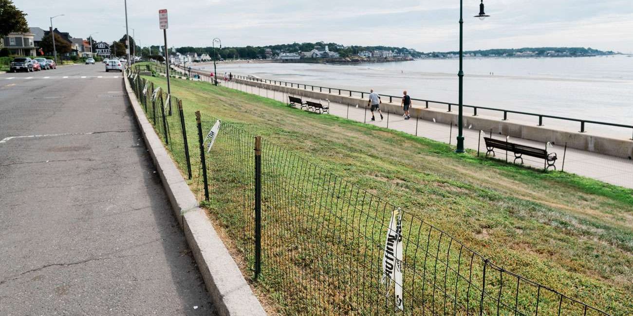 What's the deal with the chicken wire fencing along Lynn Shore Drive