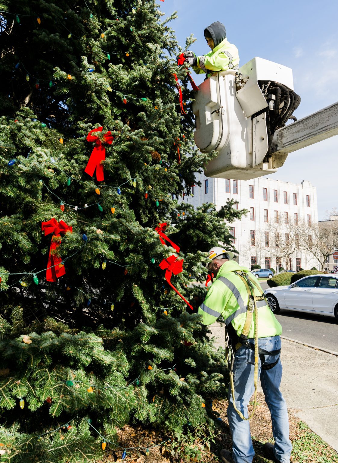 2021 Boston Commons Christmas Tree
