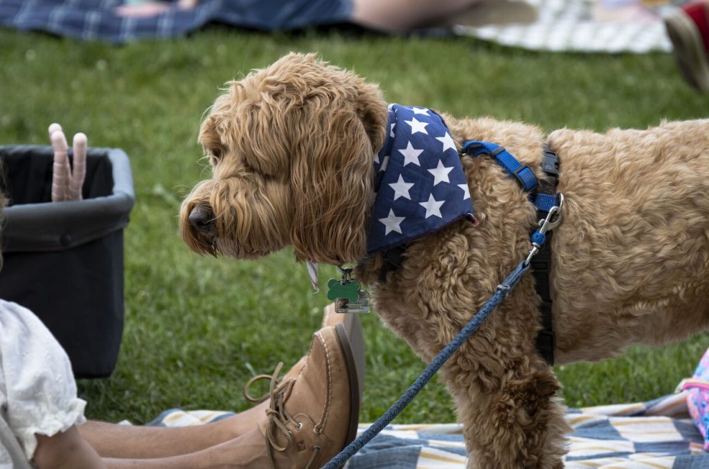 Photo Gallery: Lynn and Swampscott celebrate the Fourth