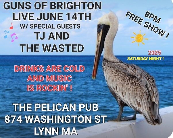 GUNS OF BRIGHTON & TJ AND THE WASTED