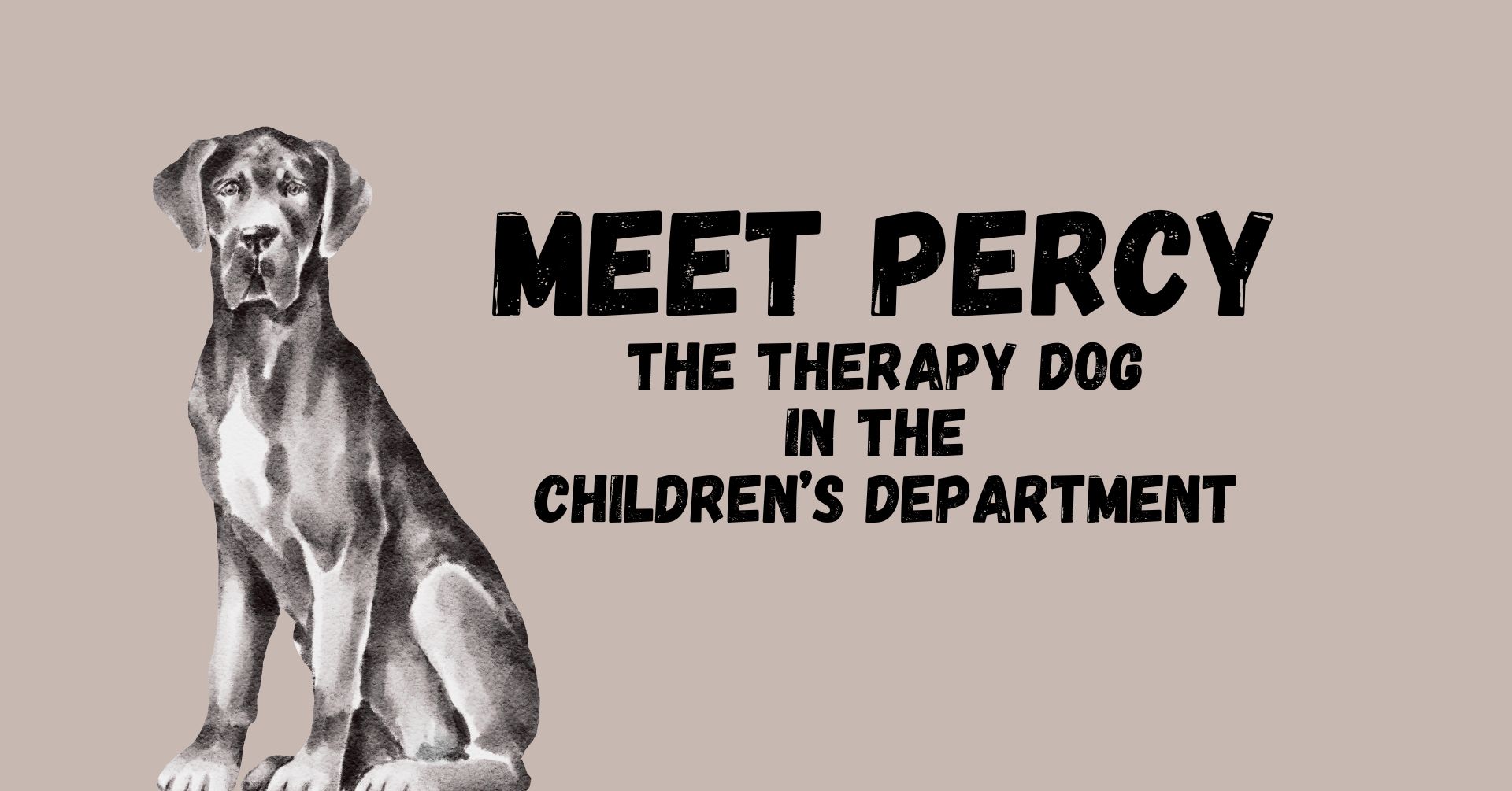 Meet Percy the Therapy Dog