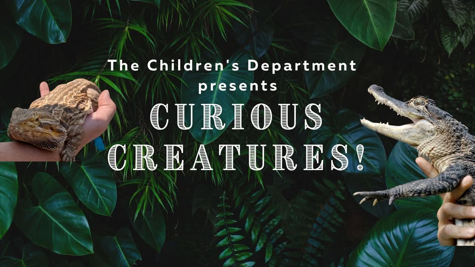 Curious Creatures