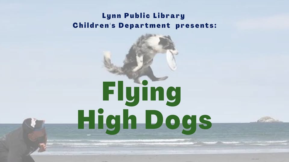 Flying High Dogs