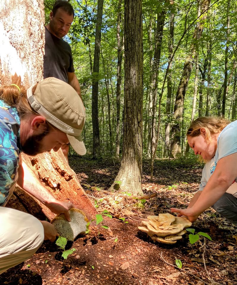 Mushroom Identification Walk