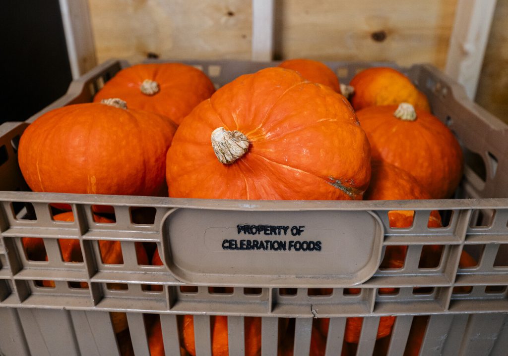 RS253317_8_28_25_Newhall_Fields_Community_Farm_Peabody_web