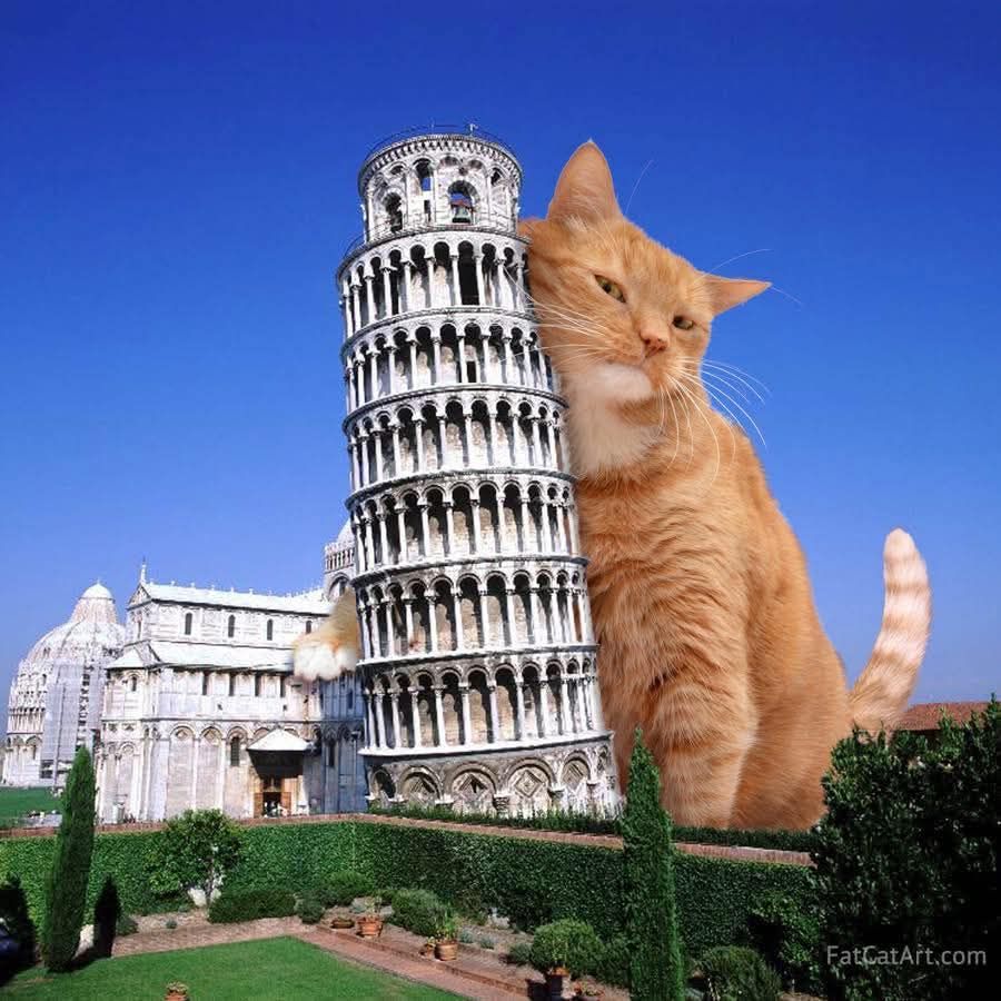 Monte’s 3FATCATS Sat 9/6 9pm Happy Birthday TOM
