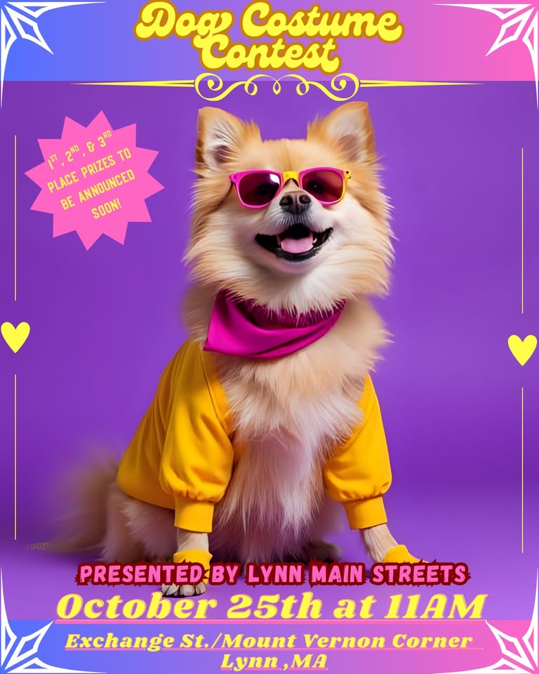 Lynn Main Streets Dog Costume Contest