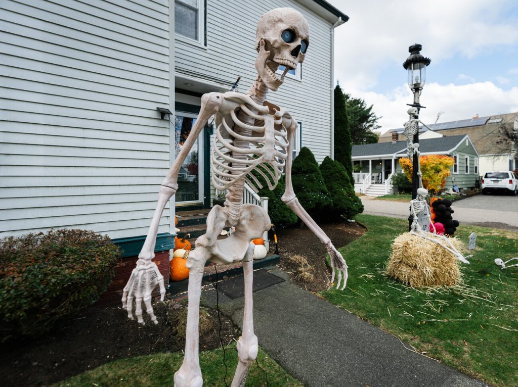 RS254764_Halloween_highlights_1_web