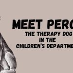 Meet Percy the Therapy Dog