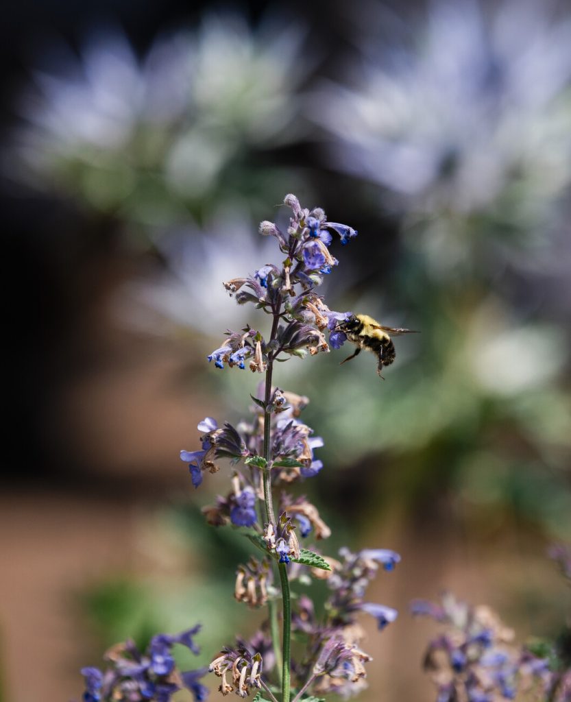 The photographer’s pics of the month: June