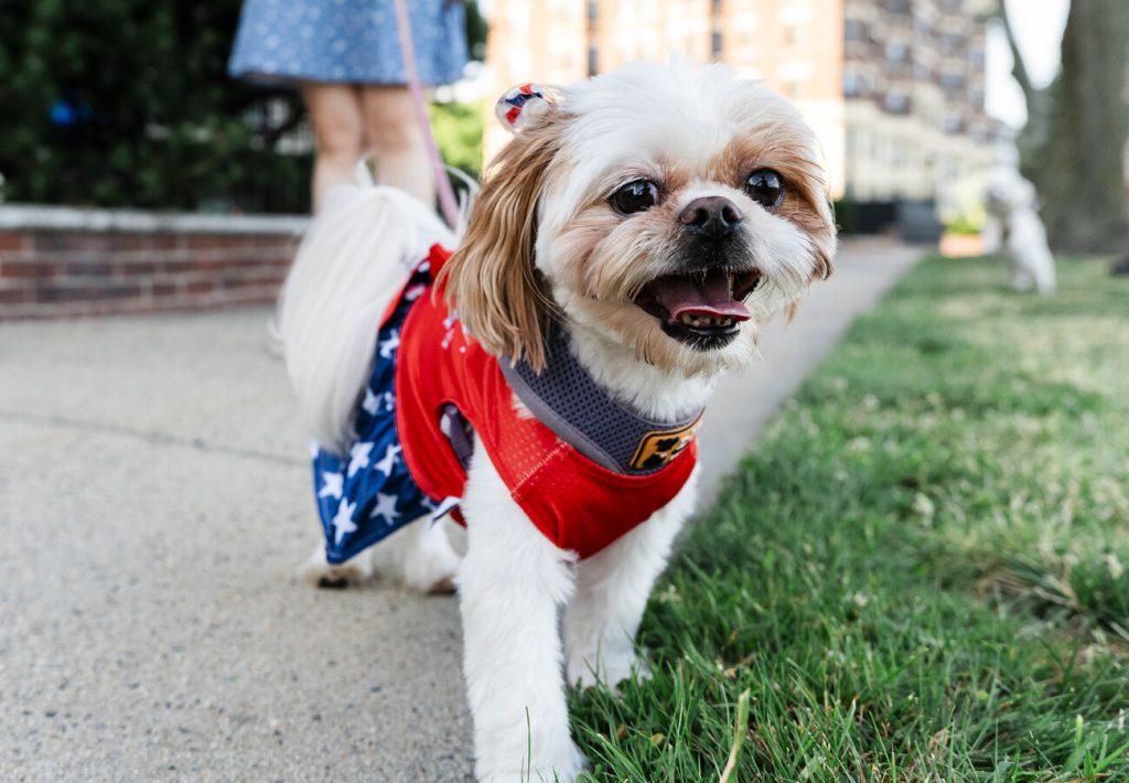 Photos: Getting warmed up for the Fourth